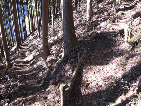 20190121hike (36)